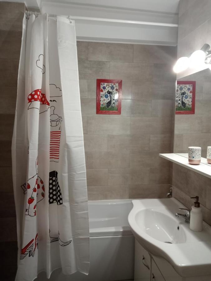 Skyline Central Apartment Timisoara Ngoại thất bức ảnh