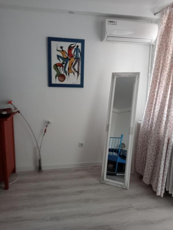 Skyline Central Apartment Timisoara Ngoại thất bức ảnh