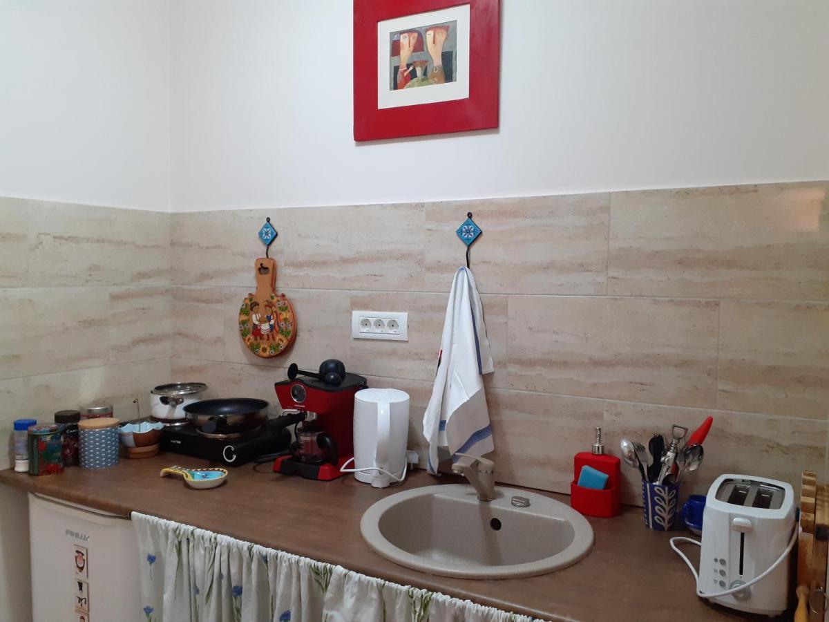 Skyline Central Apartment Timisoara Ngoại thất bức ảnh