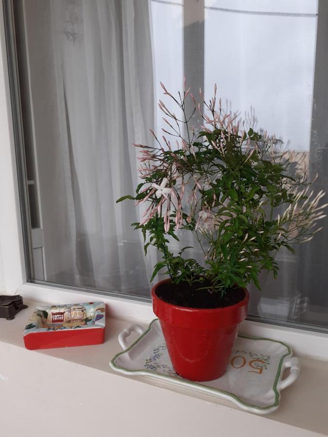 Skyline Central Apartment Timisoara Ngoại thất bức ảnh